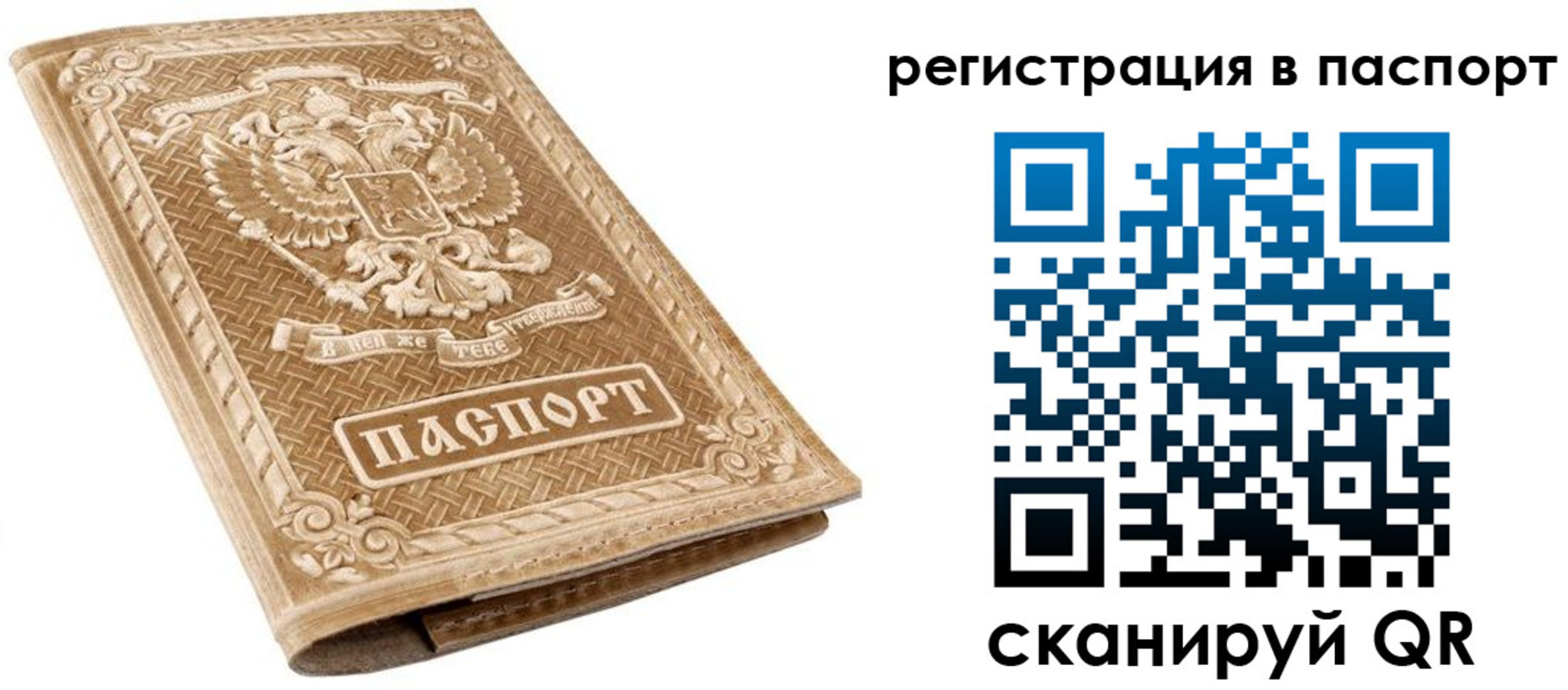 прописка в Мурманске